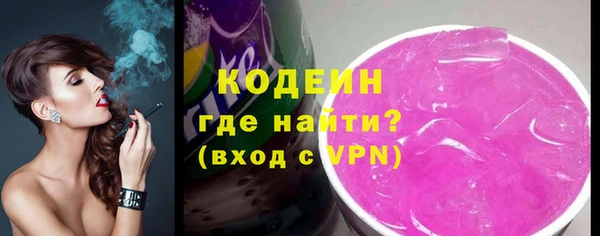 индика Беслан