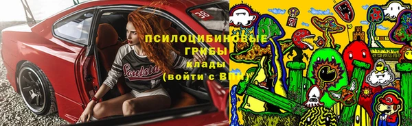 МДПВ Верея