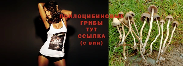 MDMA Premium VHQ Волоколамск