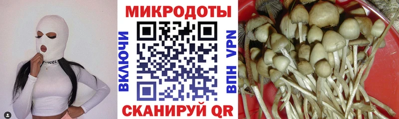Галлюциногенные грибы MAGIC MUSHROOMS  Злынка 